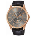 Lorus Watches Mod. Rp504Ax9